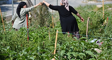 İzmir'de mahalle bostanı üreticileri artık sertifikalı
