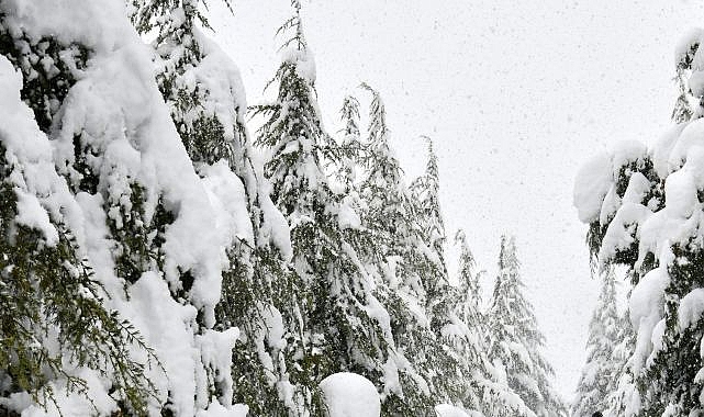 Karda düşmemek için 6 öneri