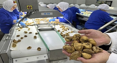  Yeni İhracat Hedefi 2 Milyar Dolar