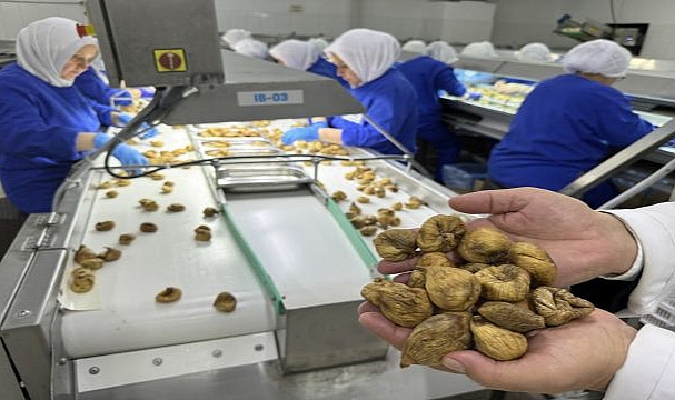 Yeni İhracat Hedefi 2 Milyar Dolar