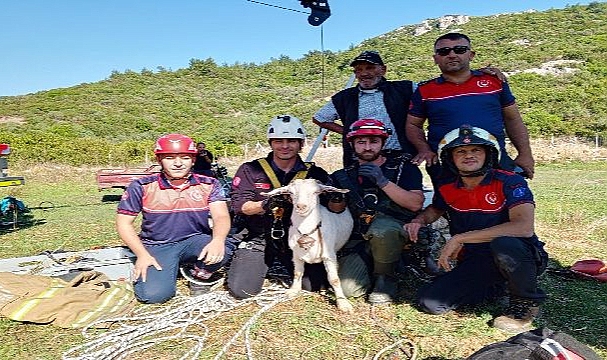 Yürekleri Isıtan Kurtarma Operasyonu