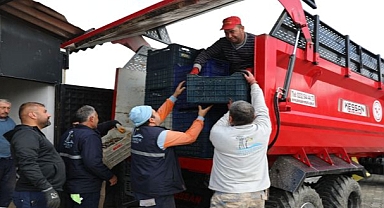  Zeytinyağı Sezonu Açıldı