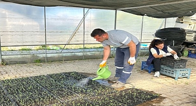 Tohum Takas Şenliği’ne Hazırlanıyor