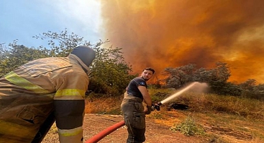 Barınaklarda önlem