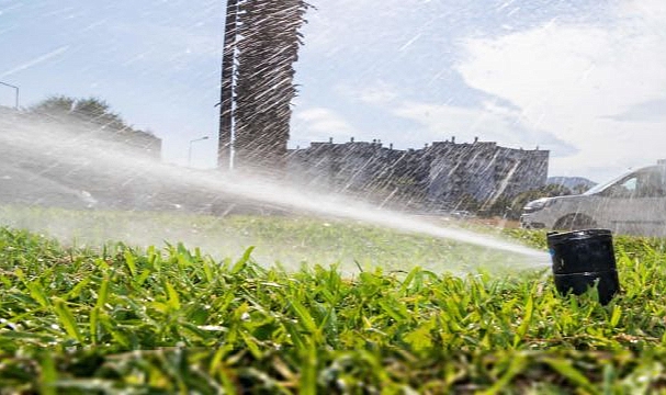 Daha az su daha fazla yeşil