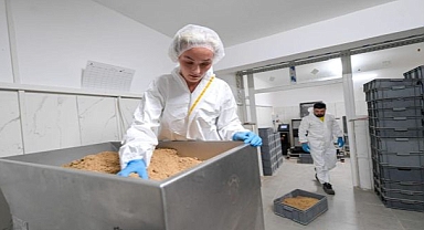 Uzmanlar tarafından özel içerik