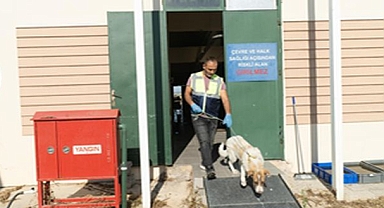 Yangından kurtarılan Kaptan’a sıcak yuva