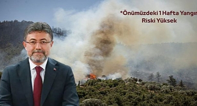 Yangınlar kontrol altına alındı 