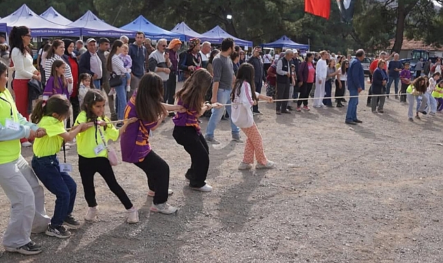 Orhanlı'da Zeytin Hasadı Festivali Coşkusu