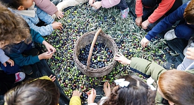 SEFERİHİSAR’DA SOSYAL BELEDİYECİLİK İZLERİ: MASAL EVİ ÖĞRENCİLERİNDEN ZEYTİN HASADI