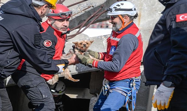 Afetzede hayvanlar için ilçelere arama kurtarma eğitimi