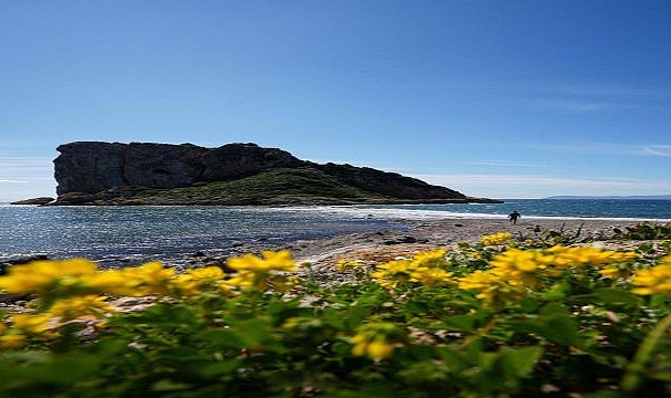 Cittaslow Türkiye Ulusal Ağ Toplantısı Seferihisar’da düzenlenecek