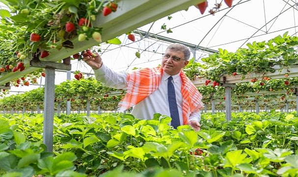 İzmir’in Tarım Master Planı rotasını çizdi