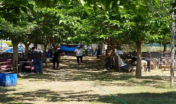Seferihisar Belediyesi, Kurban Bayramı’nda dayanışmayı büyütmek için harekete geçti.