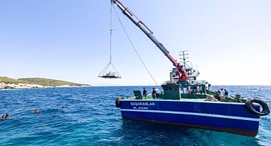Midye kabukları deniz yaşamına nefes olacak